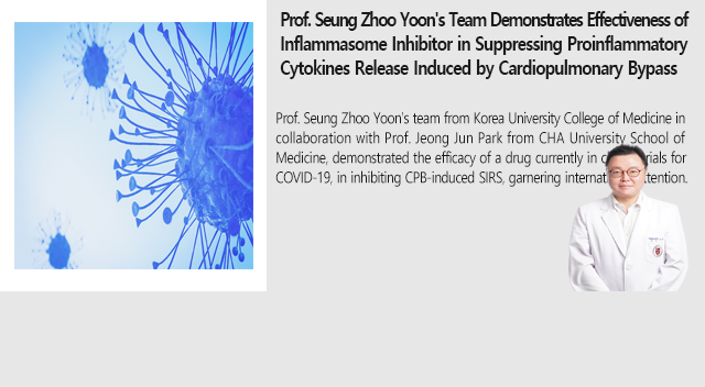 Prof. Seung Zhoo Yoon's Team Demonstrates Effectiveness of Inflammasome Inhibitor in Suppressing Proinflammatory Cytokines Release Induced by Cardiopulmonary Bypass
