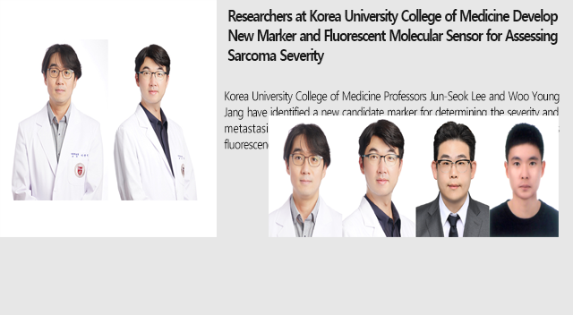 Researchers at Korea University College of Medicine Develop New Marker and Fluorescent Molecular Sensor for Assessing Sarcoma Severity