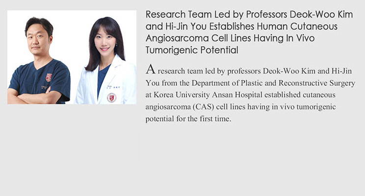 Research Team Led by Professors Deok-Woo Kim and Hi-Jin You Establishes Human Cutaneous Angiosarcoma Cell Lines Having In Vivo Tumorigenic Potential