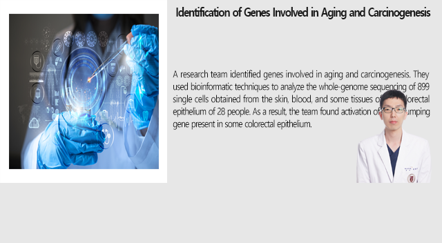 Identification of Genes Involved in Aging and Carcinogenesis