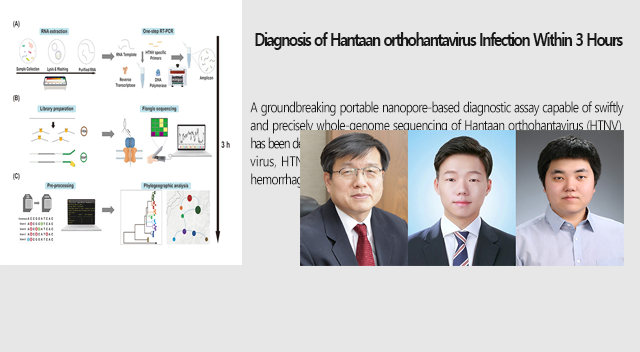 Diagnosis of Hantaan orthohantavirus Infection Within 3 Hours